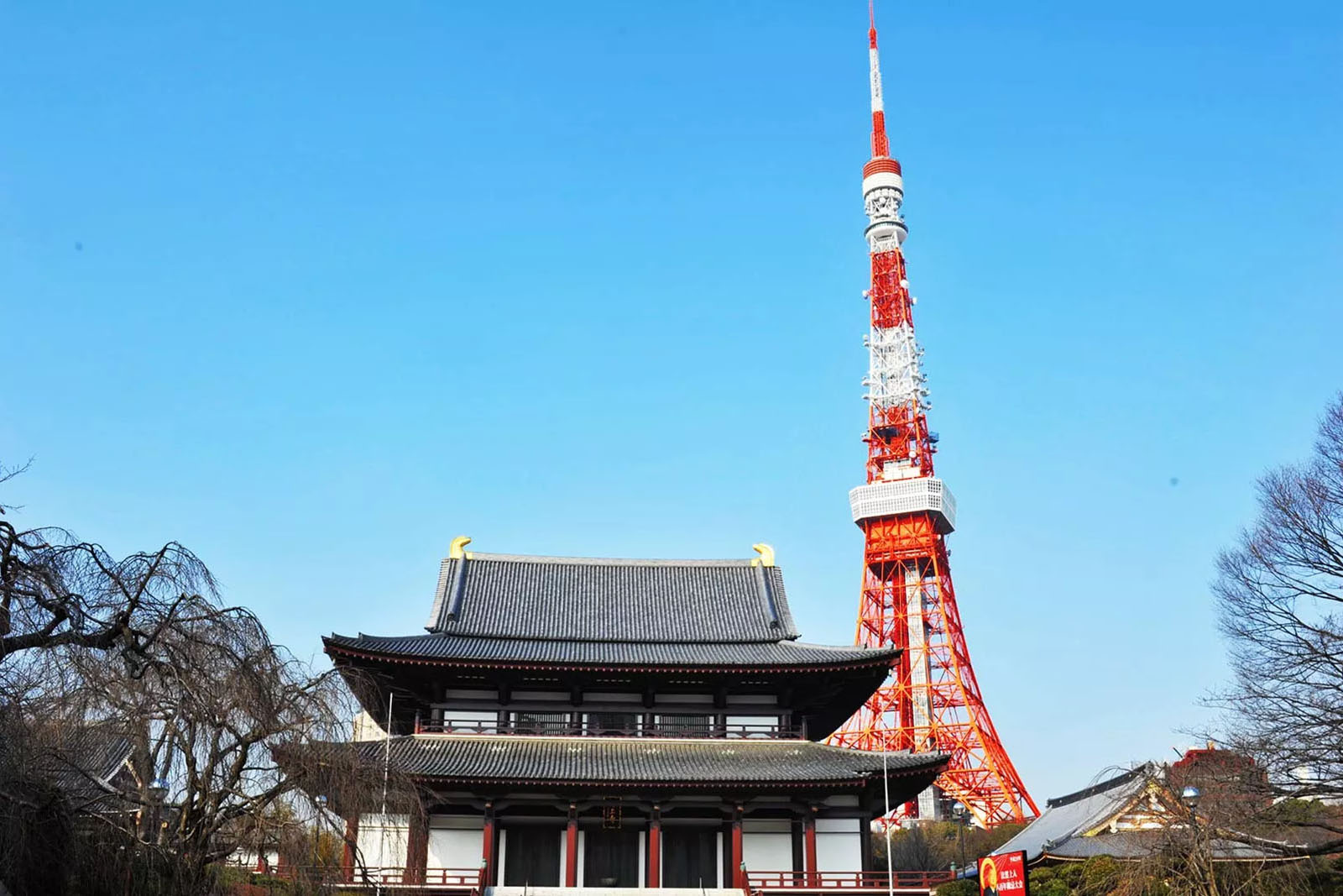 Tokyo Tower/Zojoji Temple